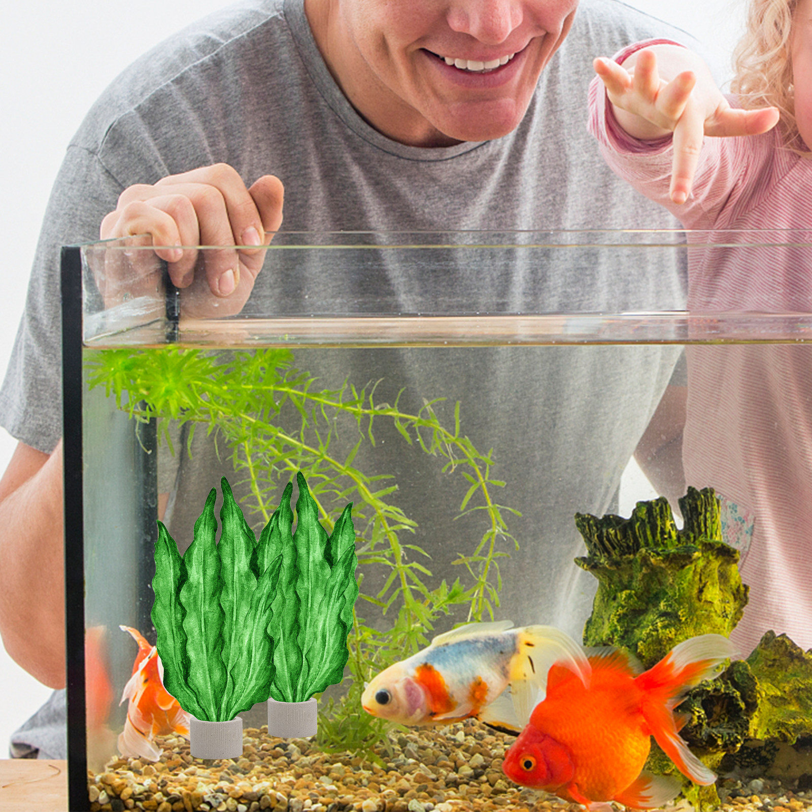 Aquarium Fish Tank - 5Pcs Premium Pottery Water Plant Fixed