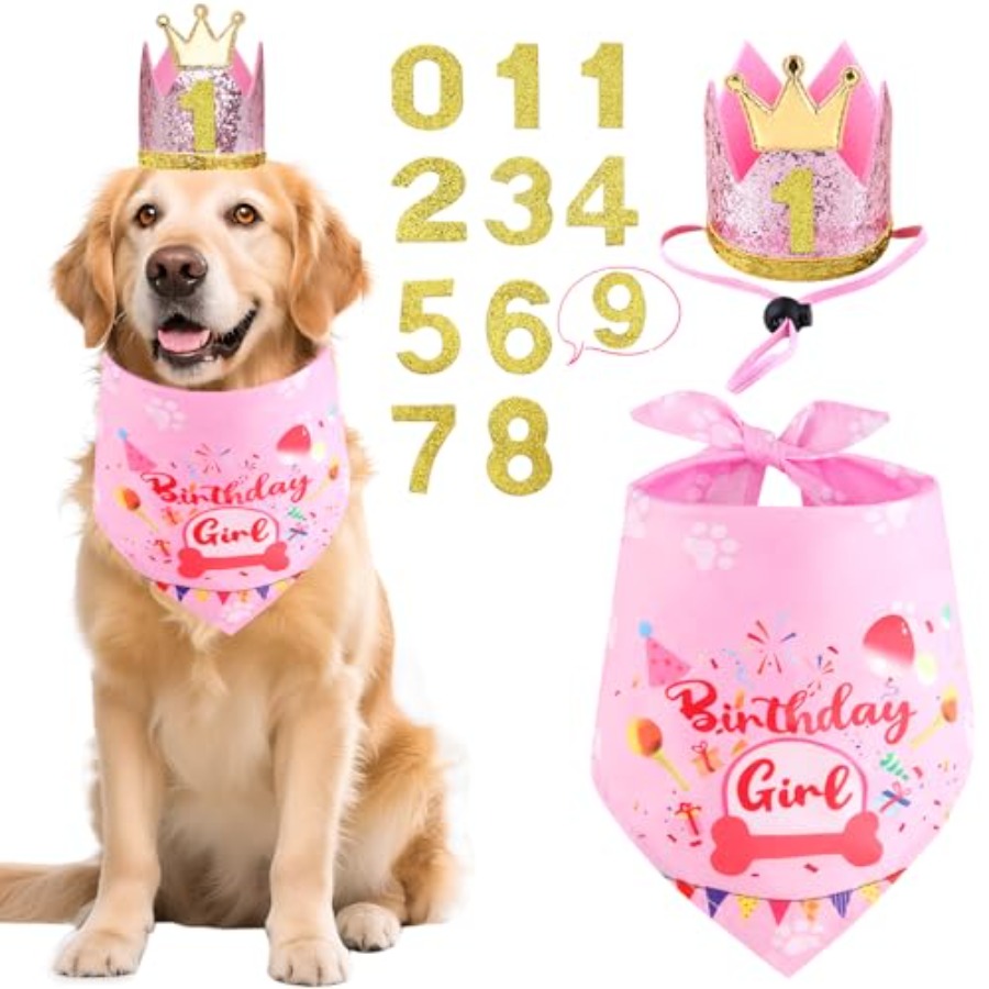 Pet X Supplies & Tack Howell Photos - Dog Birthday Party Supplies, Dog Birthday