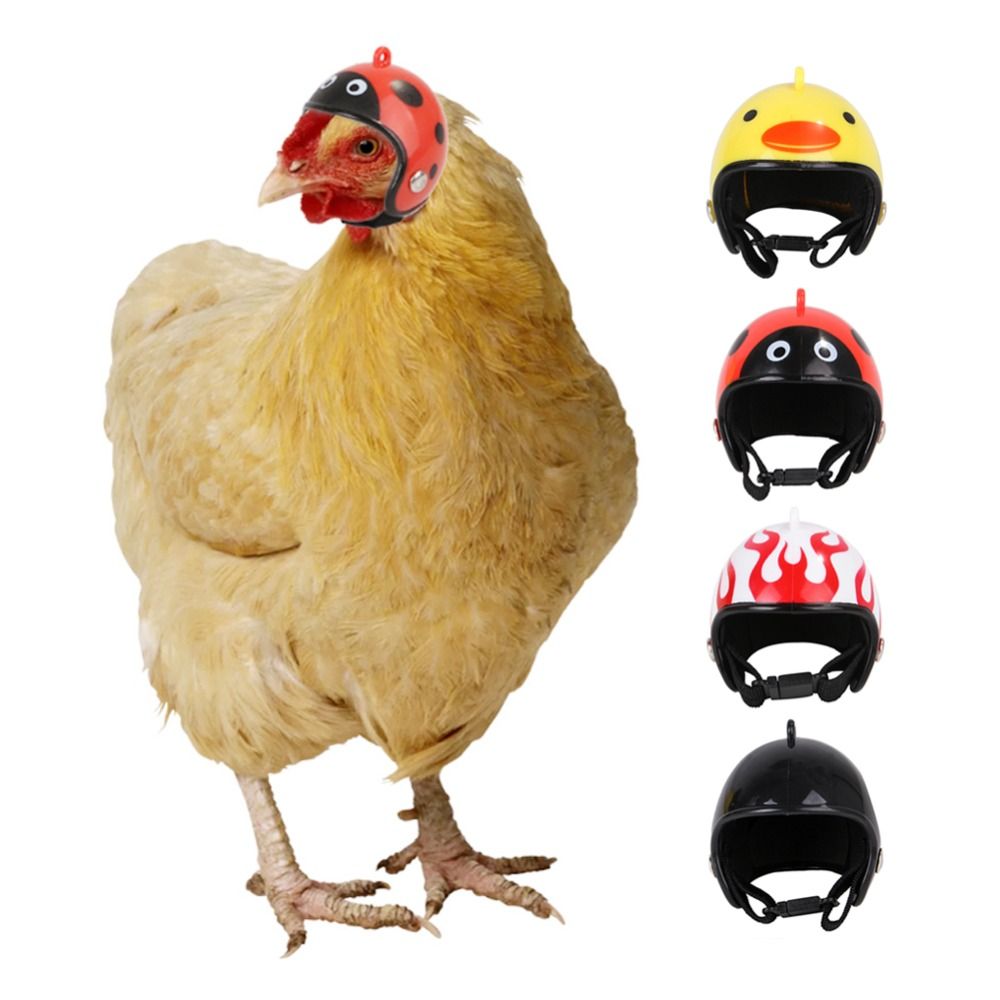 Pet X Supplies & Tack Howell Photos - ABS Pet Supplies Funny Pet Protective