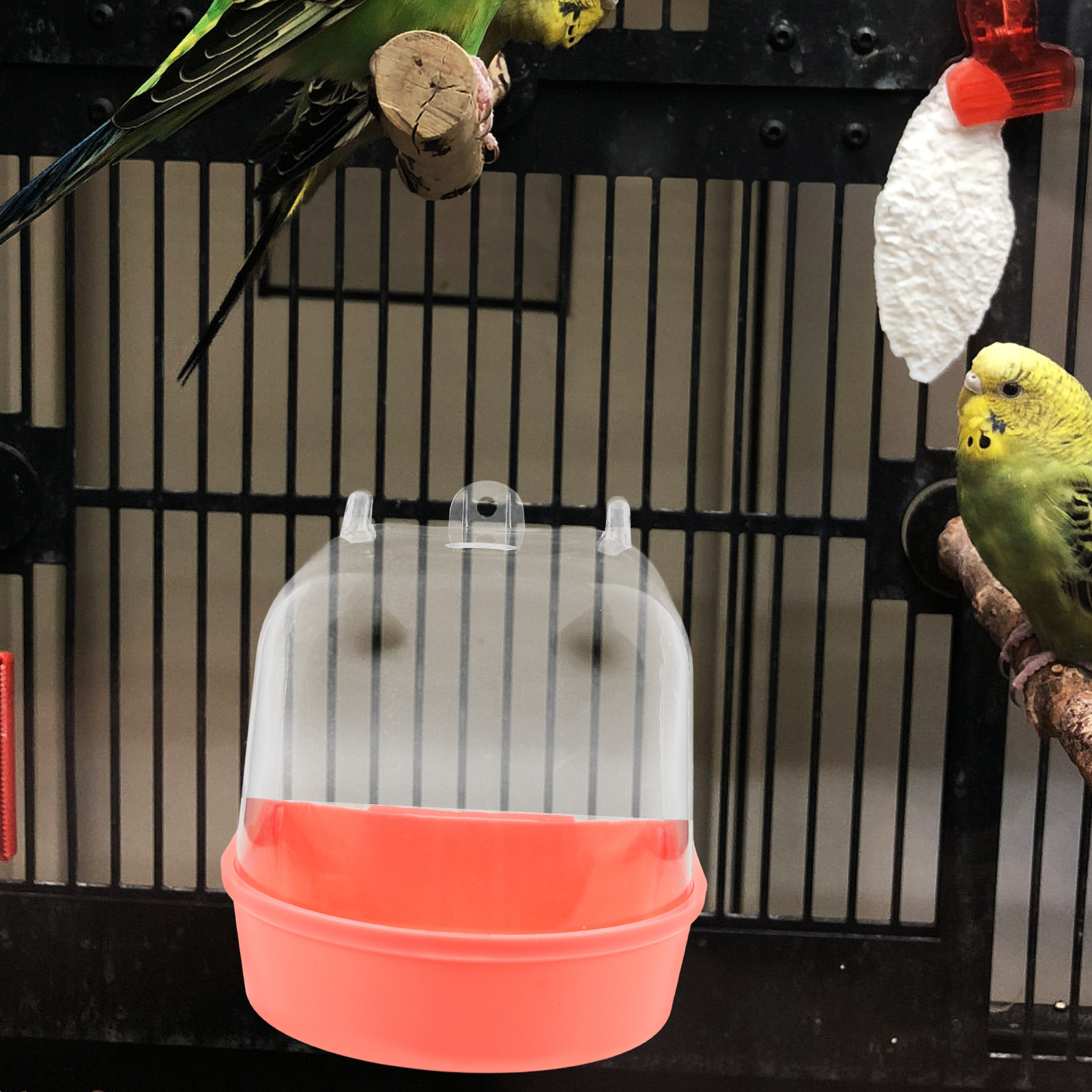 Hanging Parrot Bath Box Bird C - Bird Cage Parrot ulasan dan harga