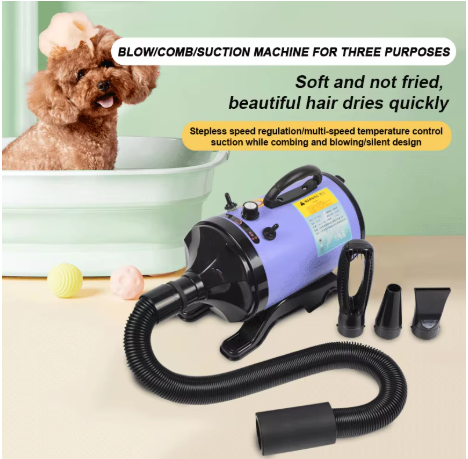 2800W High-power Dogs Hair Dry - Pet Supplies And More ulasan dan harga