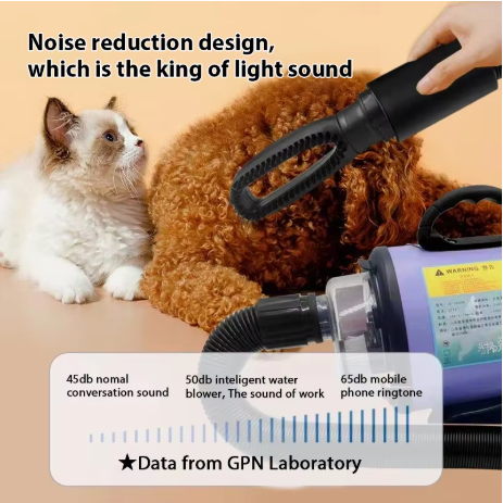 2800W High-power Dogs Hair Dry - Pet Supplies And More ulasan dan harga