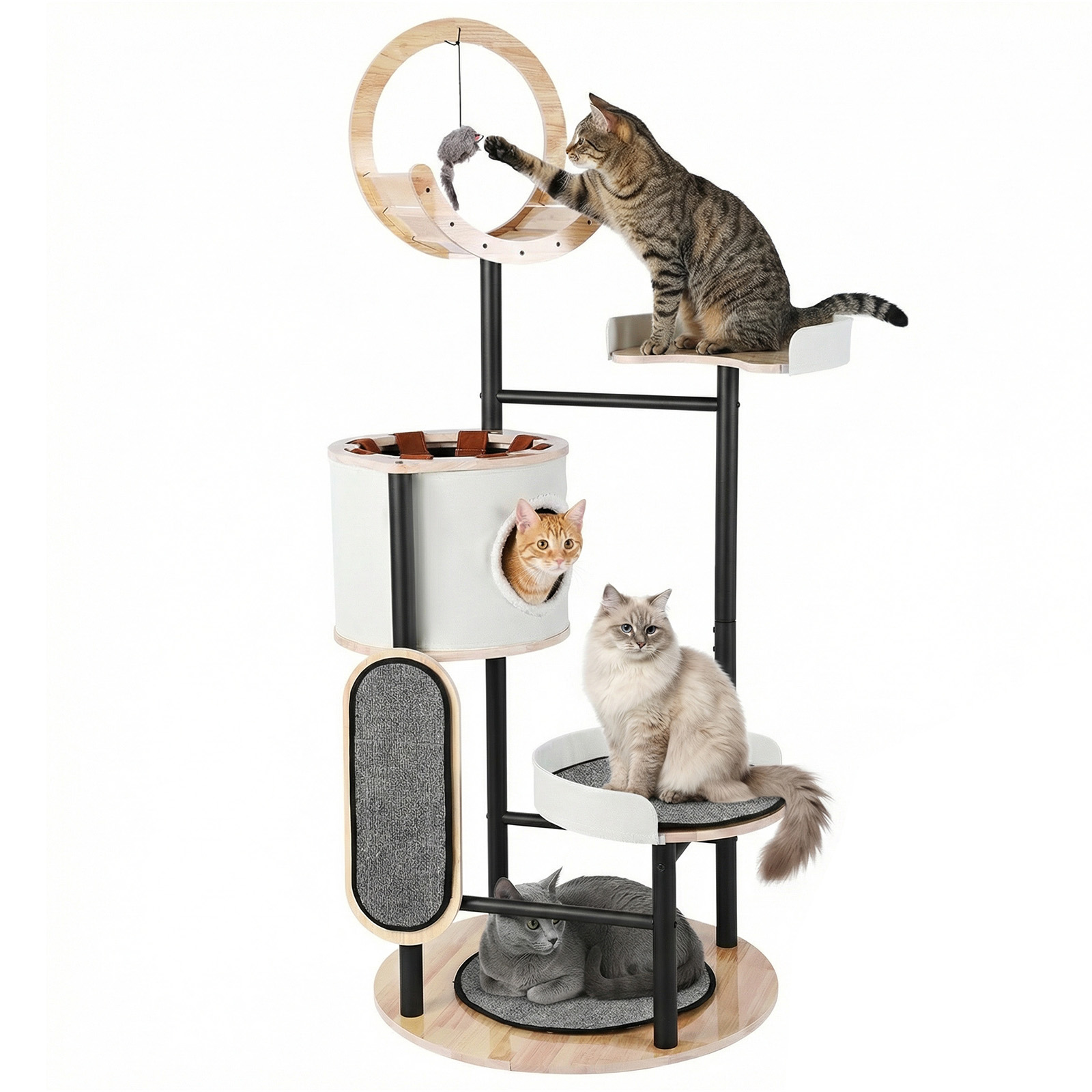 66-Inch Cat Tree with Scratchi - Pet X Supplies & Tack Howell Photos ulasan dan harga