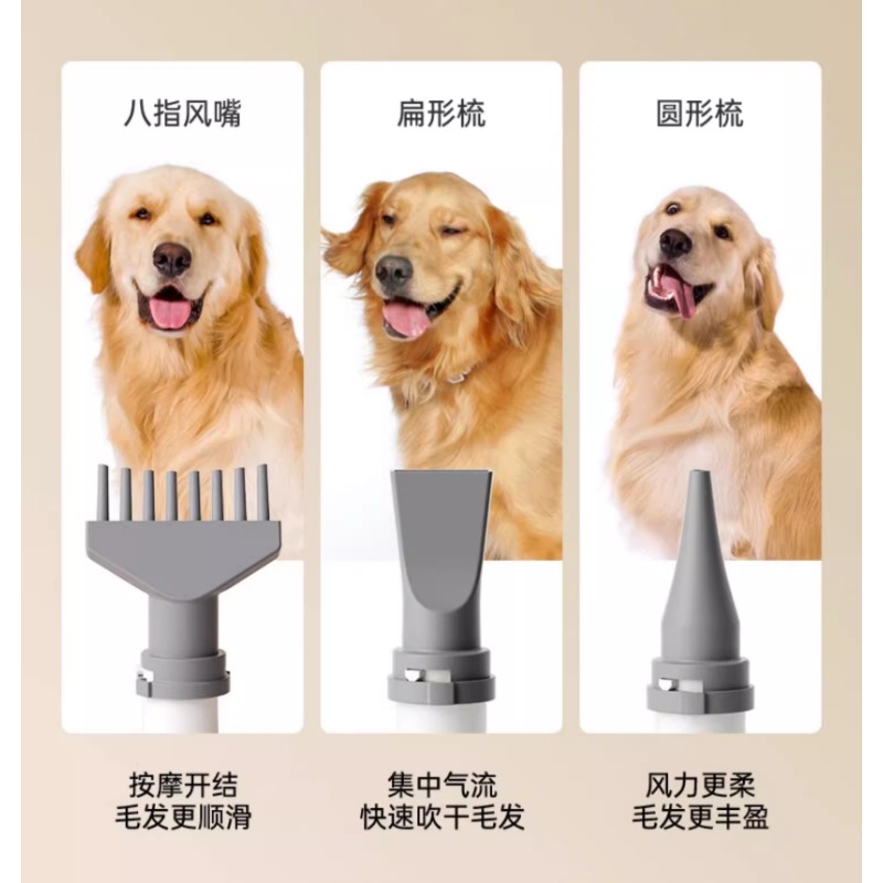 Pet Smart Drying Machine for H - Pet Supplies And More ulasan dan harga