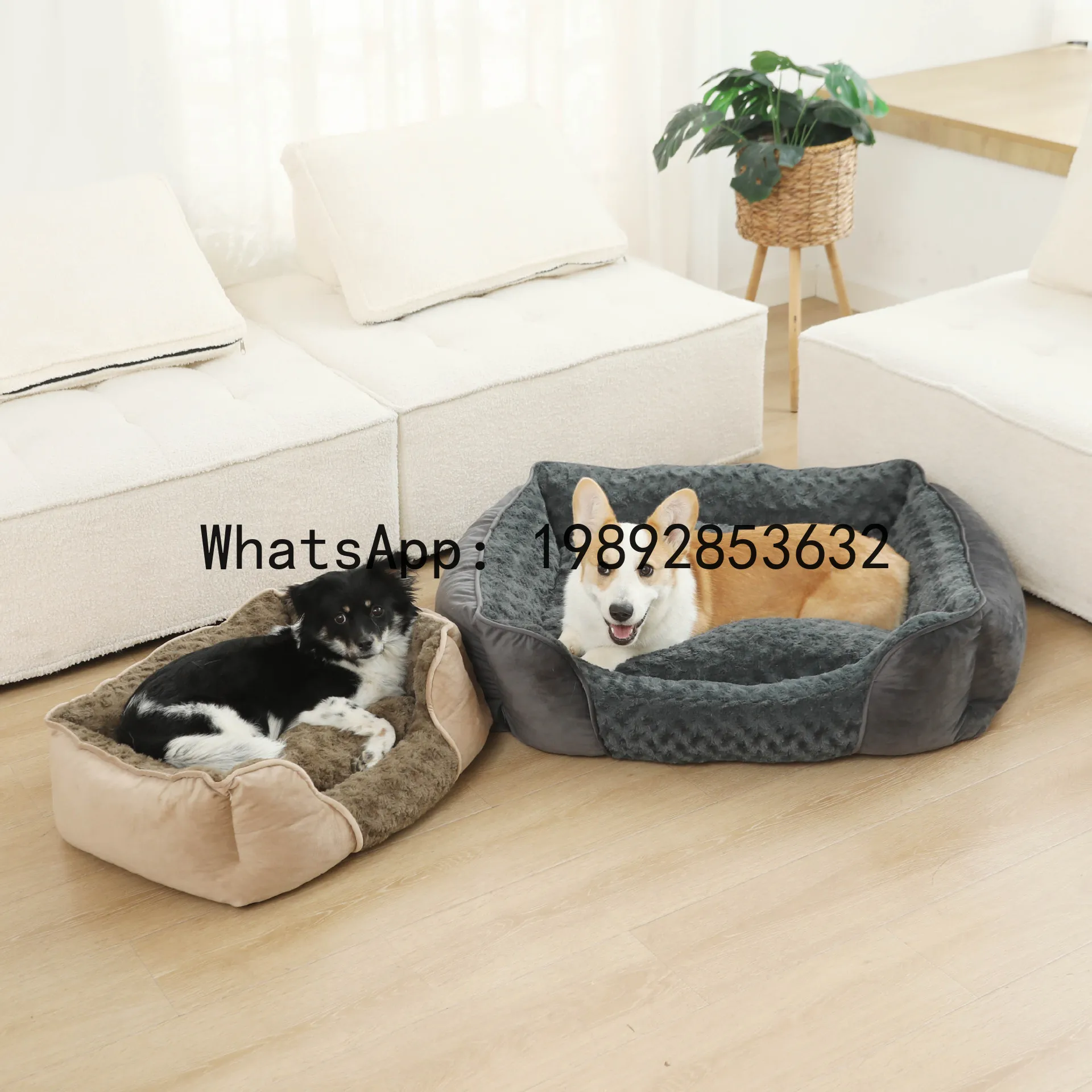X cat house semi-enclosed dog  - Pet X Supplies & Tack Howell Photos ulasan dan harga