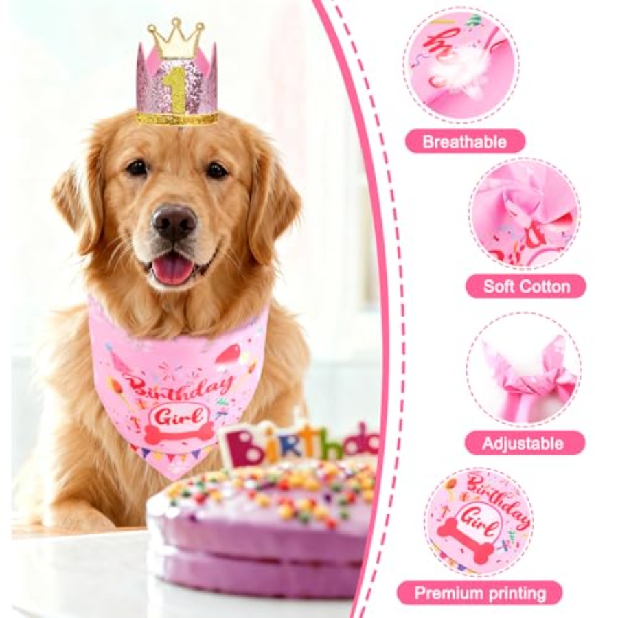 Dog Birthday Party Supplies, D - Pet X Supplies & Tack Howell Photos ulasan dan harga