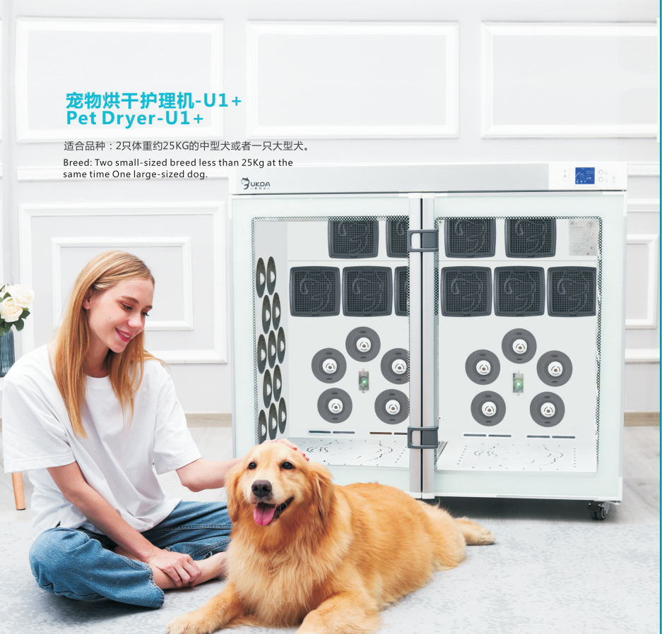 Pet Grooming Dryer Box Dog Fac - Pet Supplies Grooming Prices ulasan dan harga