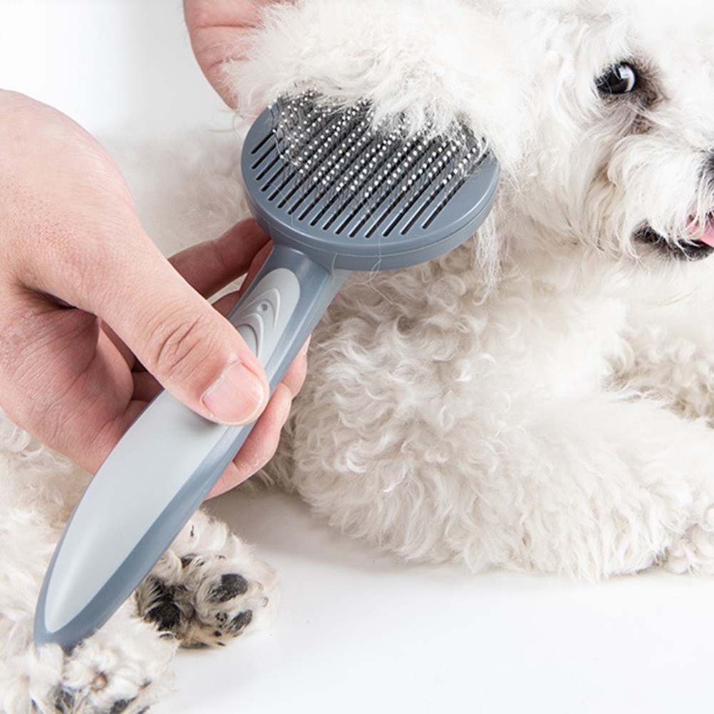 【PRICE REDUCT】High Quality Pet - Pet Supplies Grooming Prices ulasan dan harga