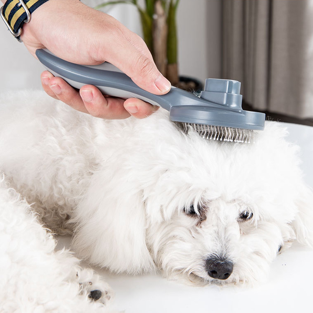 【PRICE REDUCT】High Quality Pet - Pet Supplies Grooming Prices ulasan dan harga
