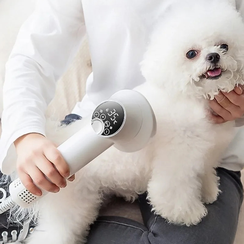 Professional Pet Hair Dryer Do - Pet Supplies And More ulasan dan harga