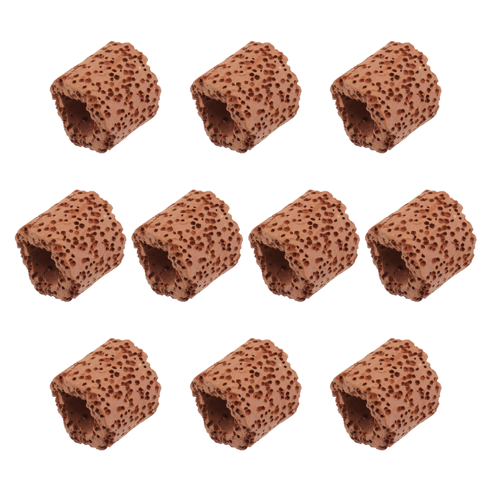 10Pcs Water Plant Fixed Ring S - Aquarium Fish Tank ulasan dan harga