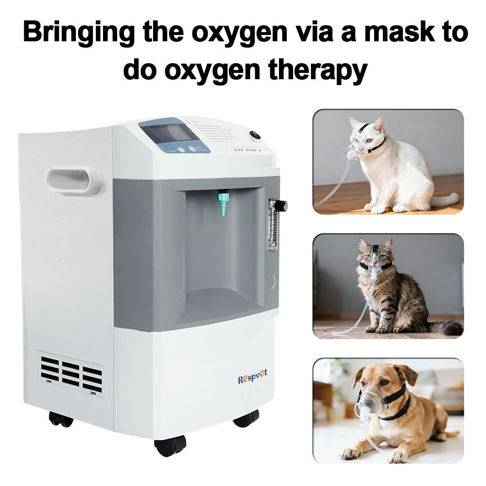 Veterinary Oxygen Supply Devic - Pet Supplies Vet ulasan dan harga