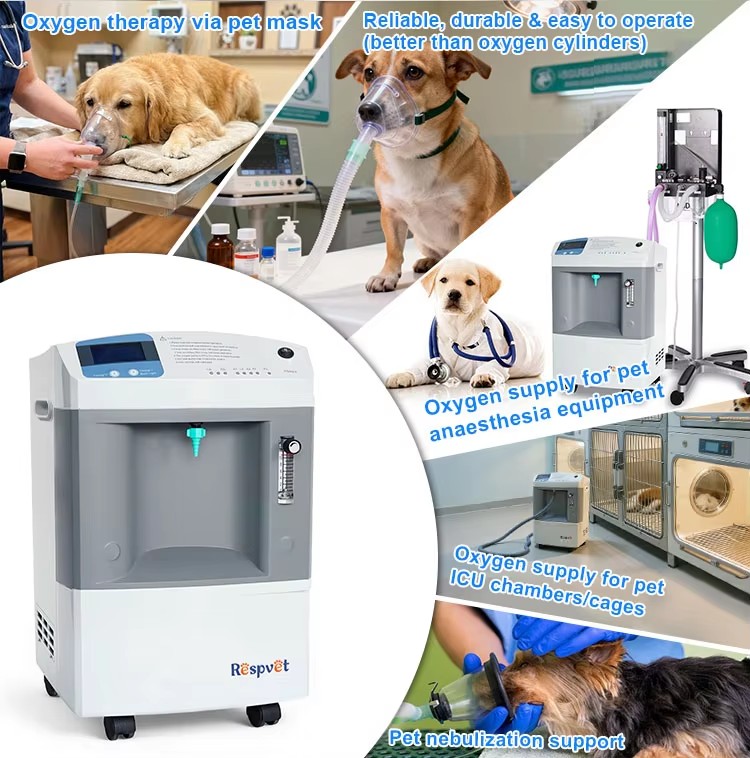 Veterinary Oxygen Supply Devic - Pet Supplies Vet ulasan dan harga