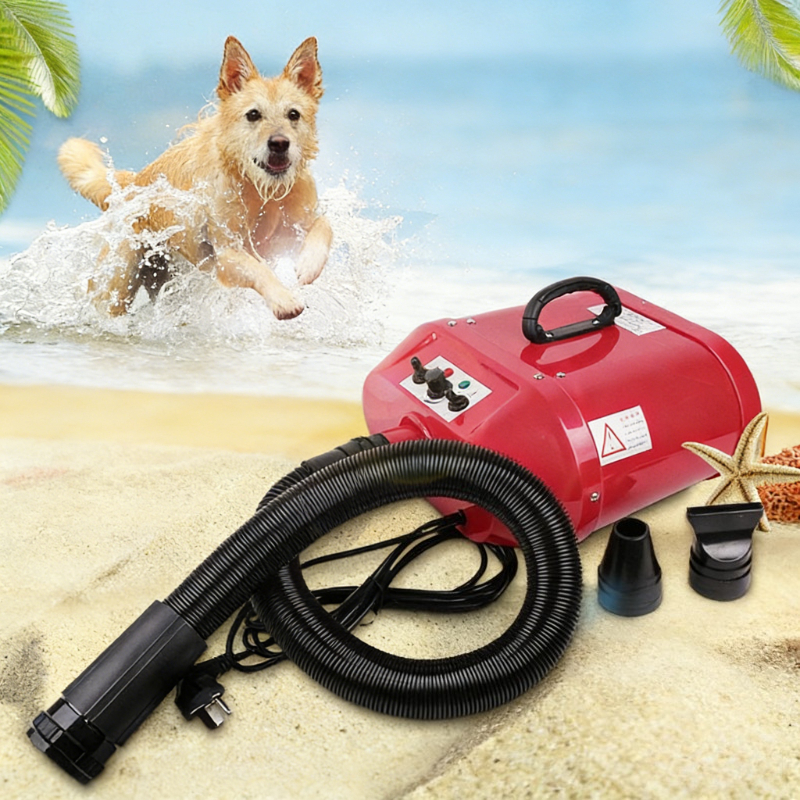Double Motor Water Blower Pet  - Pet Supplies And More ulasan dan harga