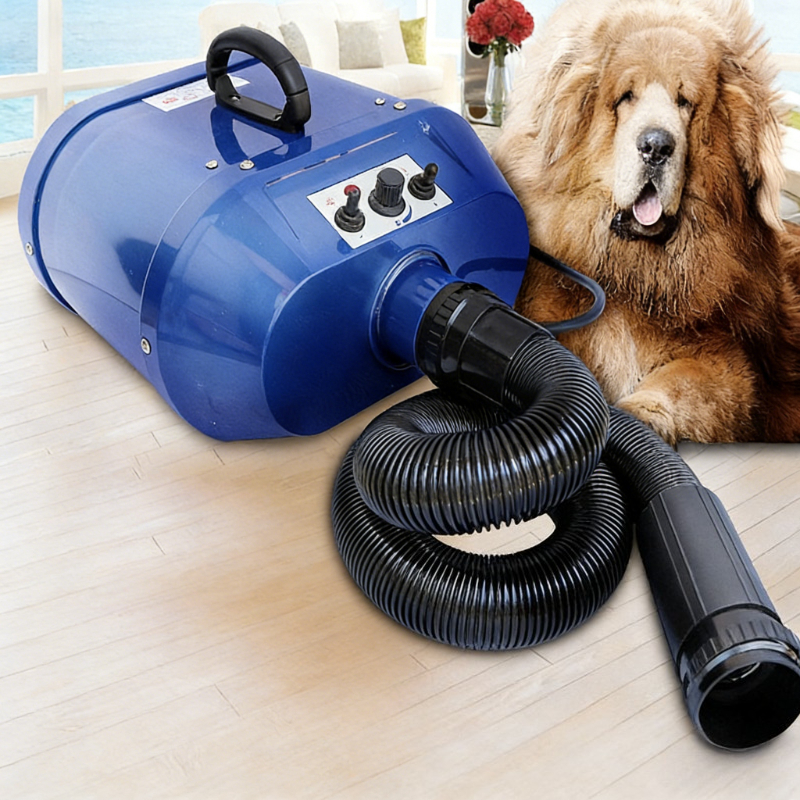 Double Motor Water Blower Pet  - Pet Supplies And More ulasan dan harga