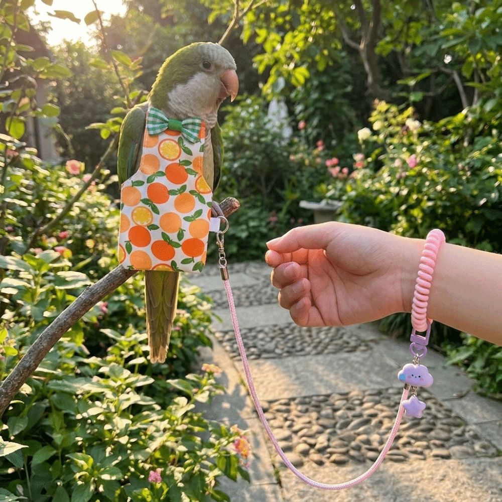 Adjustable Pet Parrot Diaper B - Bird Cage Parrot ulasan dan harga