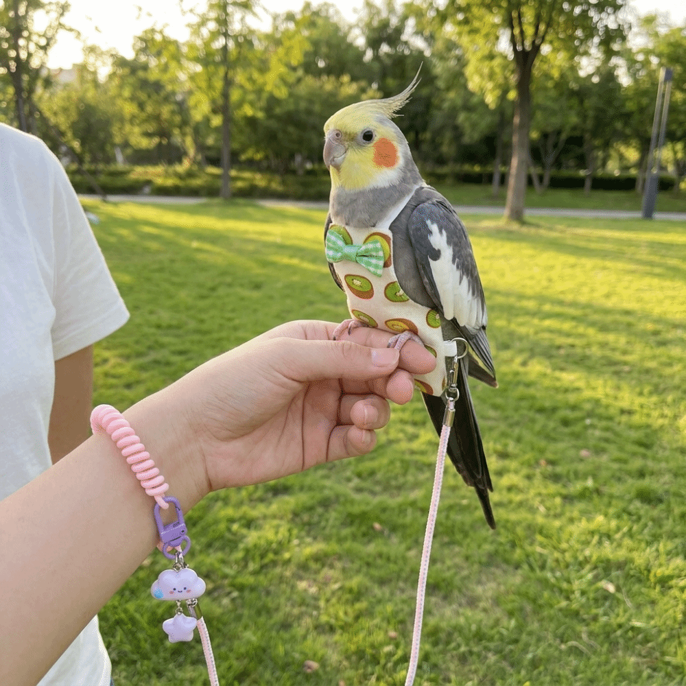 Adjustable Pet Parrot Diaper B - Bird Cage Parrot ulasan dan harga