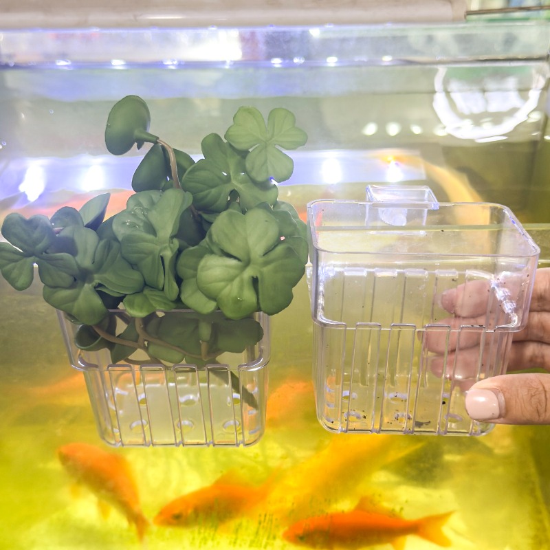 1/5pcs Aquarium Decoration Pla - Aquarium Fish Tank ulasan dan harga