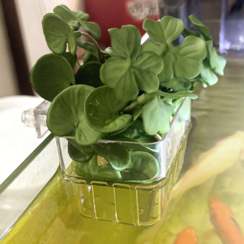 1/5pcs Aquarium Decoration Pla - Aquarium Fish Tank ulasan dan harga