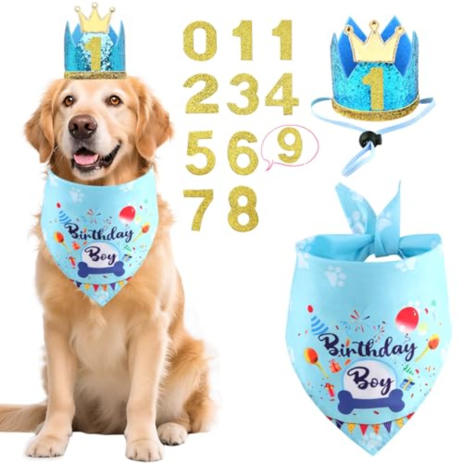 Dog Birthday Party Supplies, D - Pet X Supplies & Tack Howell Photos ulasan dan harga