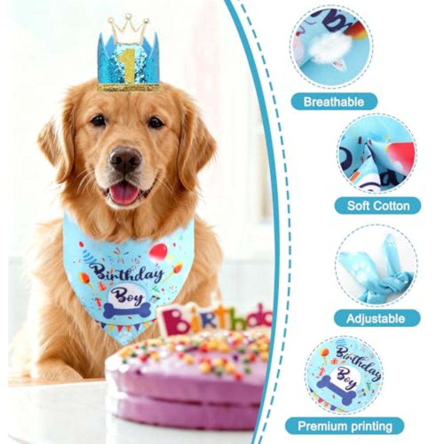 Dog Birthday Party Supplies, D - Pet X Supplies & Tack Howell Photos ulasan dan harga