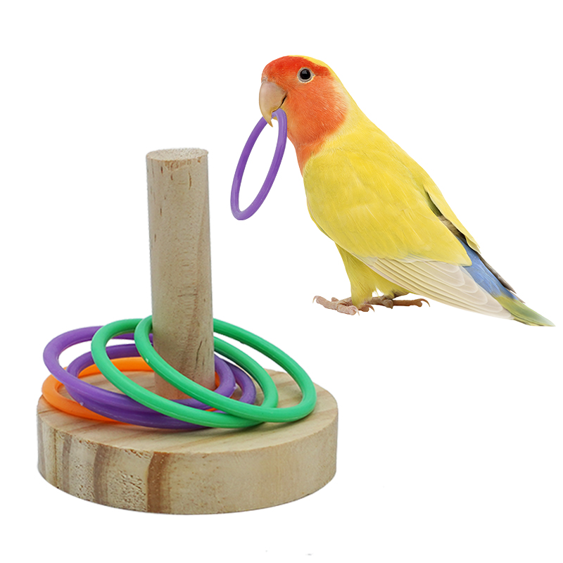 Parrot Bird Toy Parrot Bite Ch - Pet Supplies Ringwood ulasan dan harga